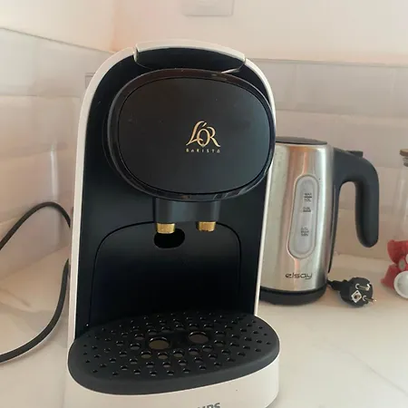 Chez Balthazar Elnes